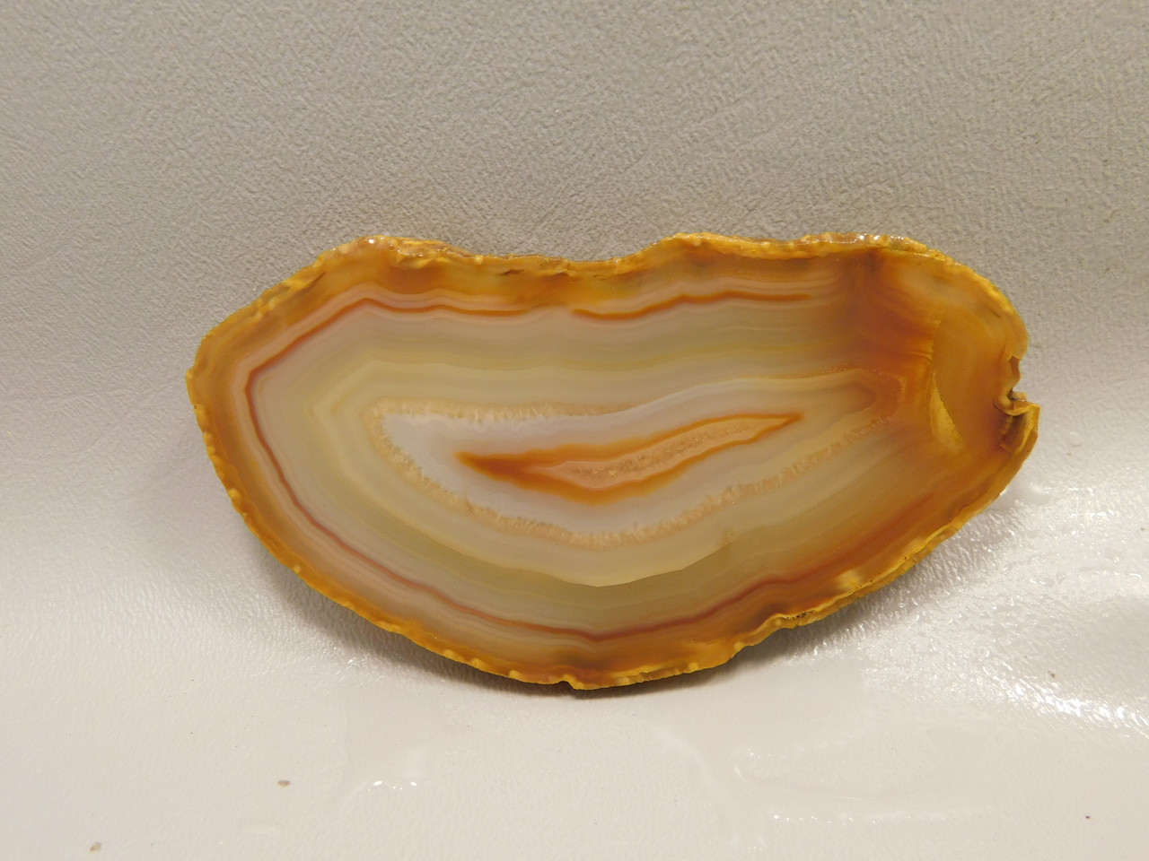 Brazilian Piranha Agate Stone Slab Lapidary Rough Rock #O4
