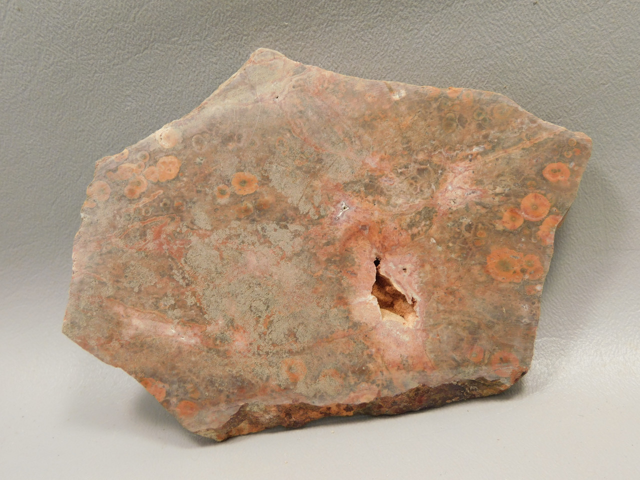 Birdseye Rhyolite Rough Rock Poppy Jasper Stone Slab #O1