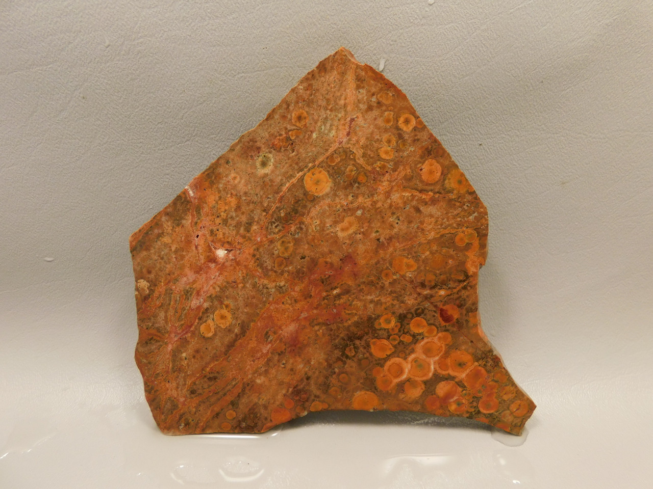 Birdseye Rhyolite Rough Rock Poppy Jasper Stone Slab #O1