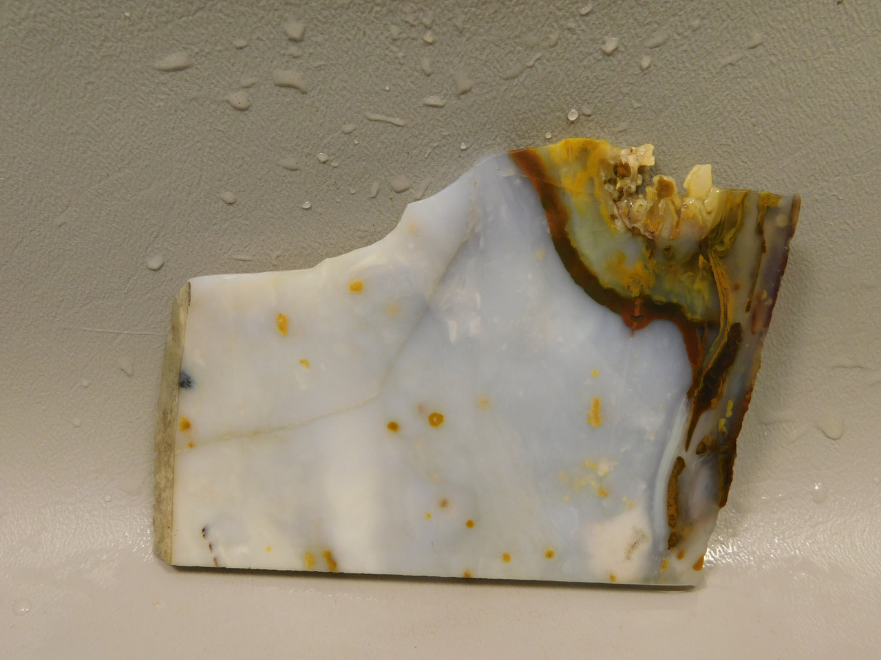 Polka Dot Agate Stone Slab Unpolished Rough Rock Oregon #O2