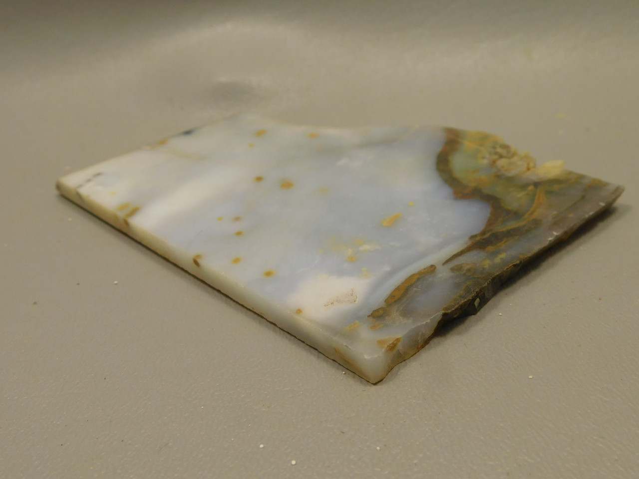 Polka Dot Agate Stone Slab Unpolished Rough Rock Oregon #O2