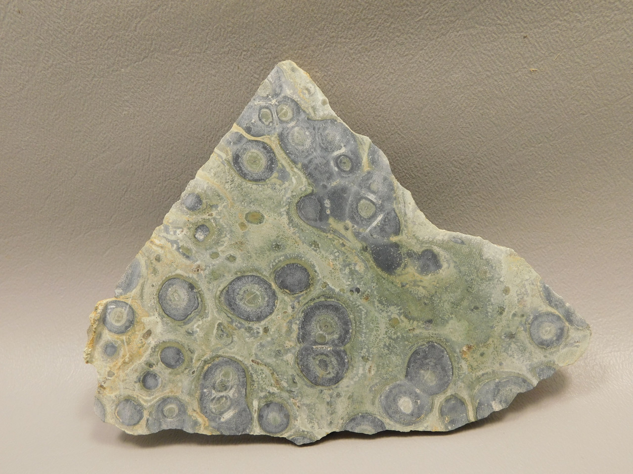 Kabamba Jasper Unpolished Stone Slab Kambaba Rough Rock #O2