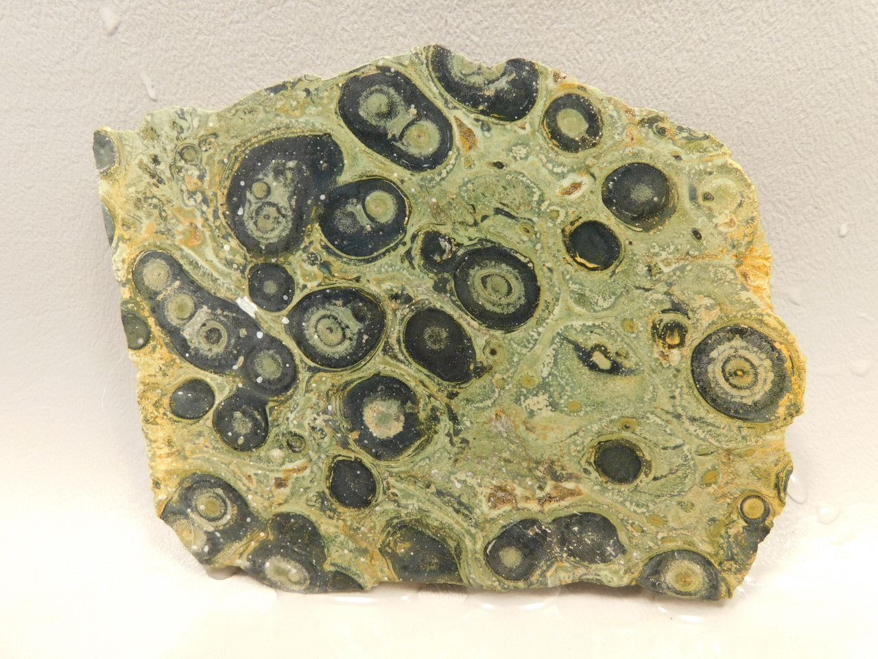 Kabamba Jasper Unpolished Stone Slab Kambaba Rough Rock #O3