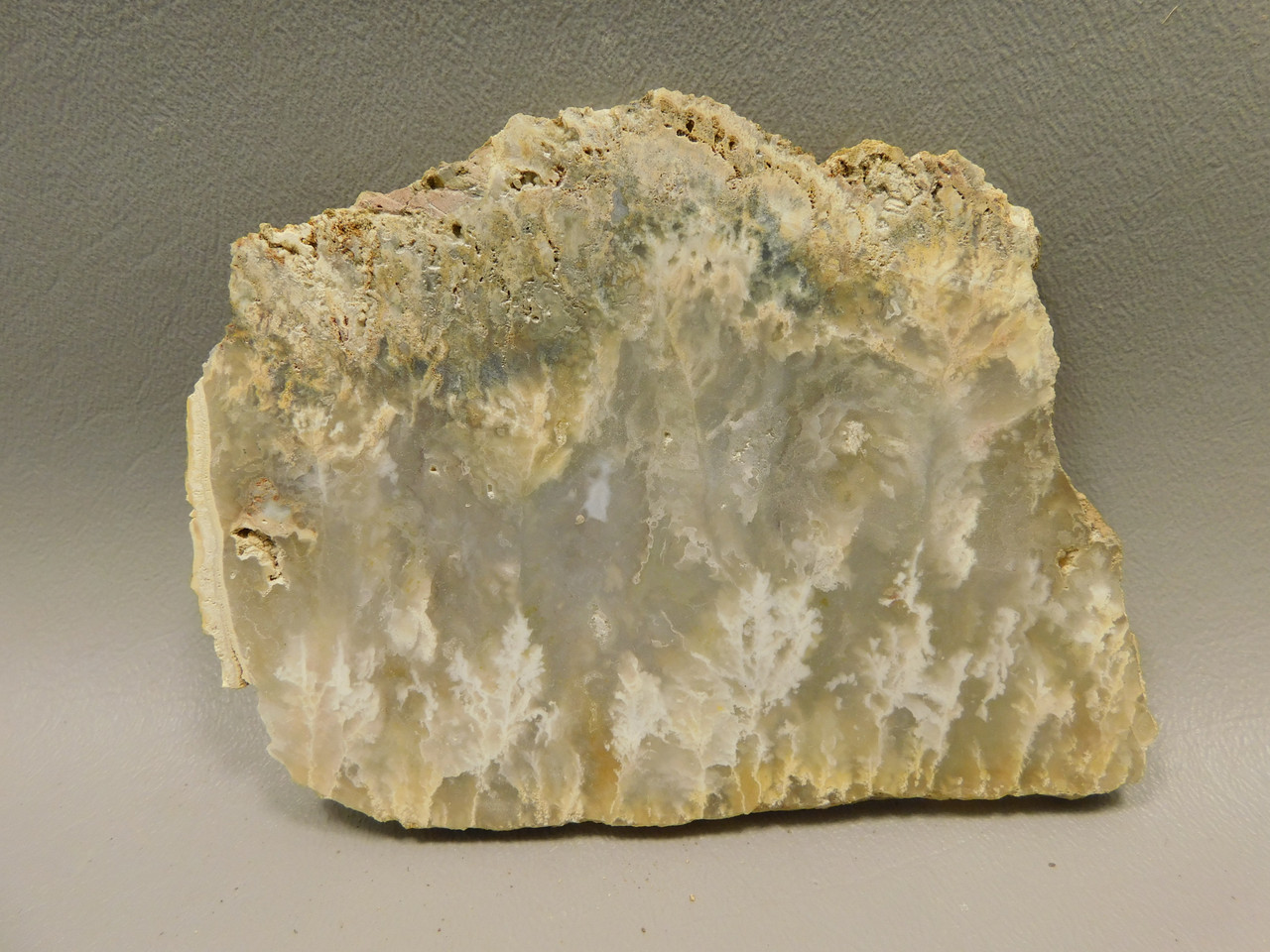 Graveyard Point Plume Agate Stone Slab Unpolished Rock Oregon #O2