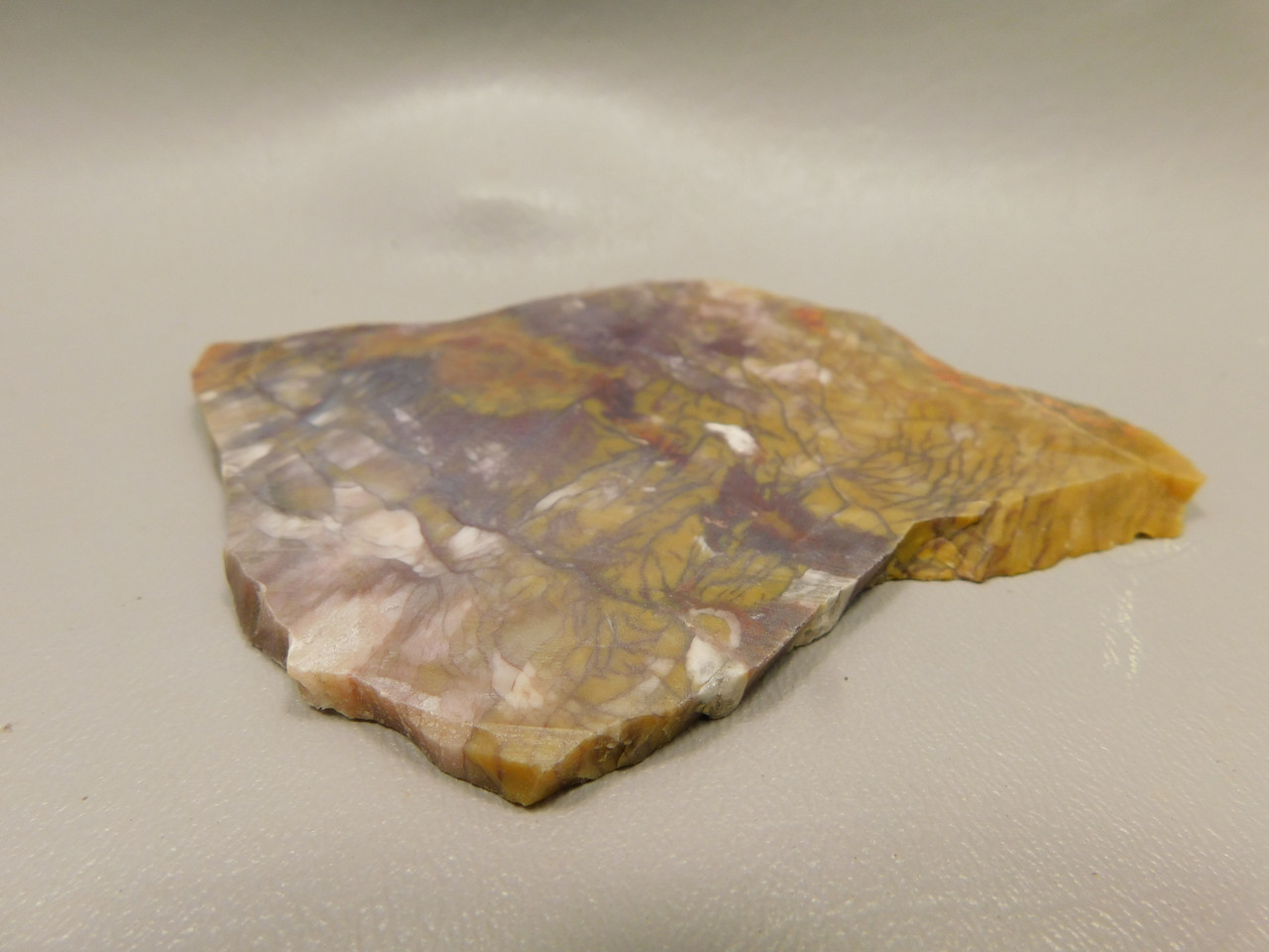 Petrified Wood Unpolished Stone Slab Rough Rock #O30