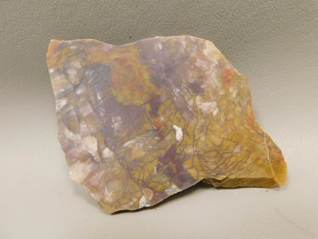 Petrified Wood Unpolished Stone Slab Rough Rock #O30