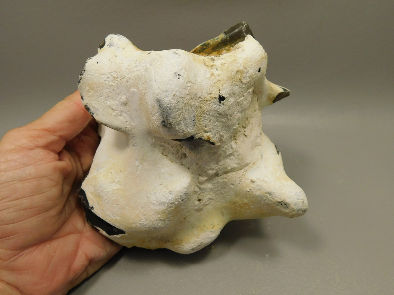English Flint with Cortex Knapping Stone Rough Rock England #O1