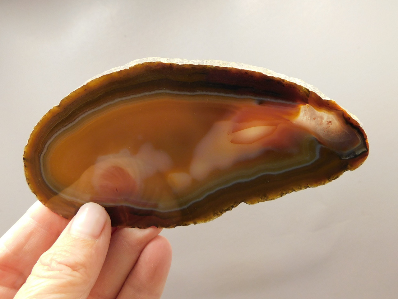 Brazilian Agate Polished Stone Slab Piranha Agate Rock #O13