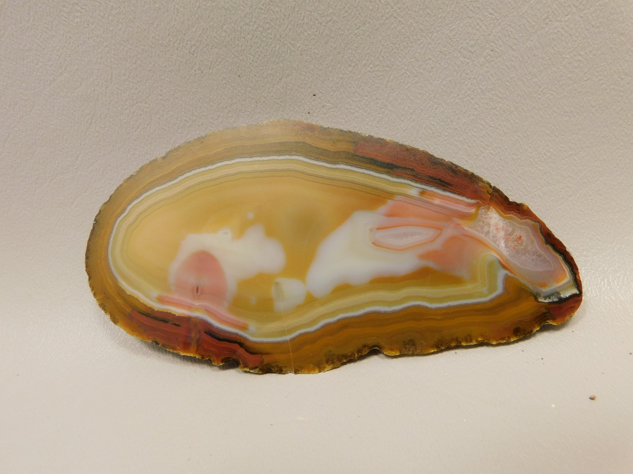 Brazilian Agate Polished Stone Slab Piranha Agate Rock #O13