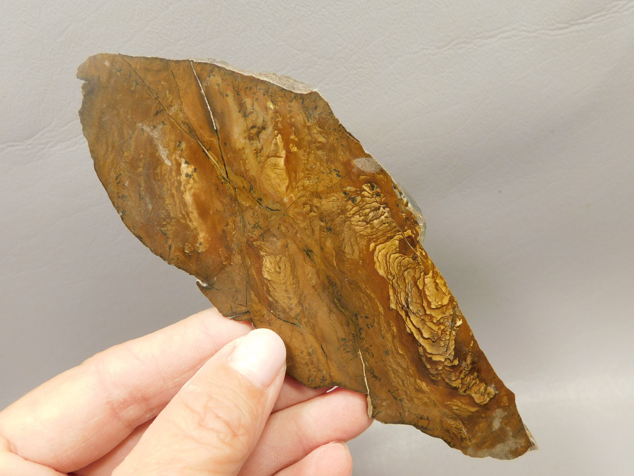 Deschutes Jasper Polished Stone Slab Collector Rock Oregon #O10