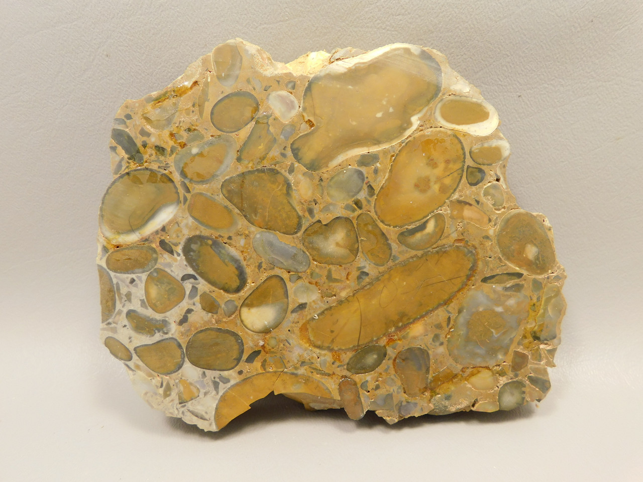 Hertfordshire Puddingstone Polished Stone Slab Conglomerate Rock #O1