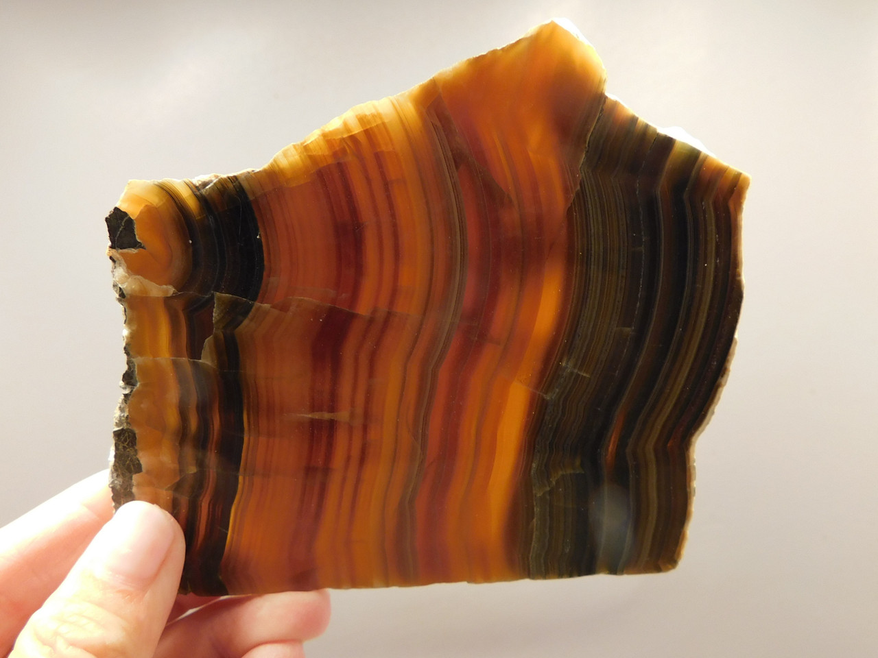 Banded Onyx Polished Stone Slab Napa California Travertine #O10