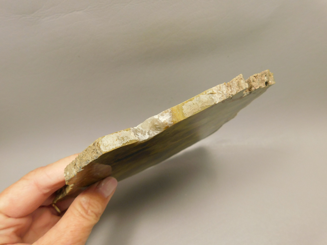 Petrified Wood Polished Stone Slab Cockscomb Utah #O188-12