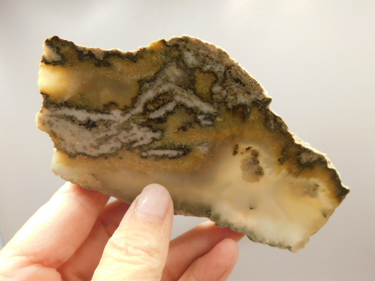 Owls Hole Agate Polished Rock Sagenite Death Valley California #O3