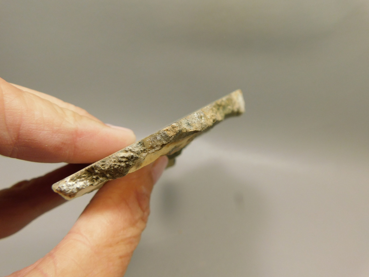 Owls Hole Agate Polished Rock Sagenite Death Valley California #O3