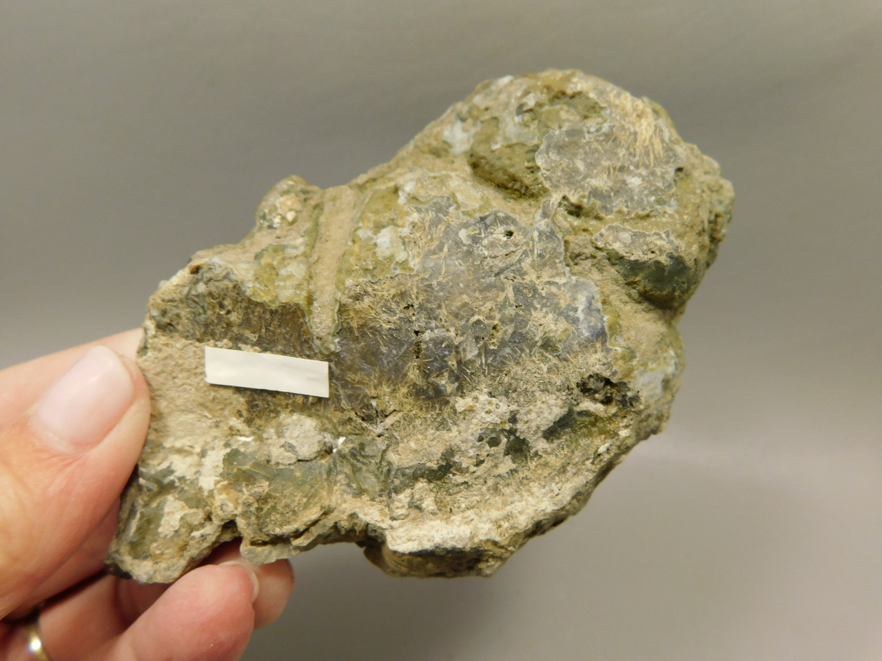 Owls Hole Agate Polished Rock Sagenite Death Valley California #O4