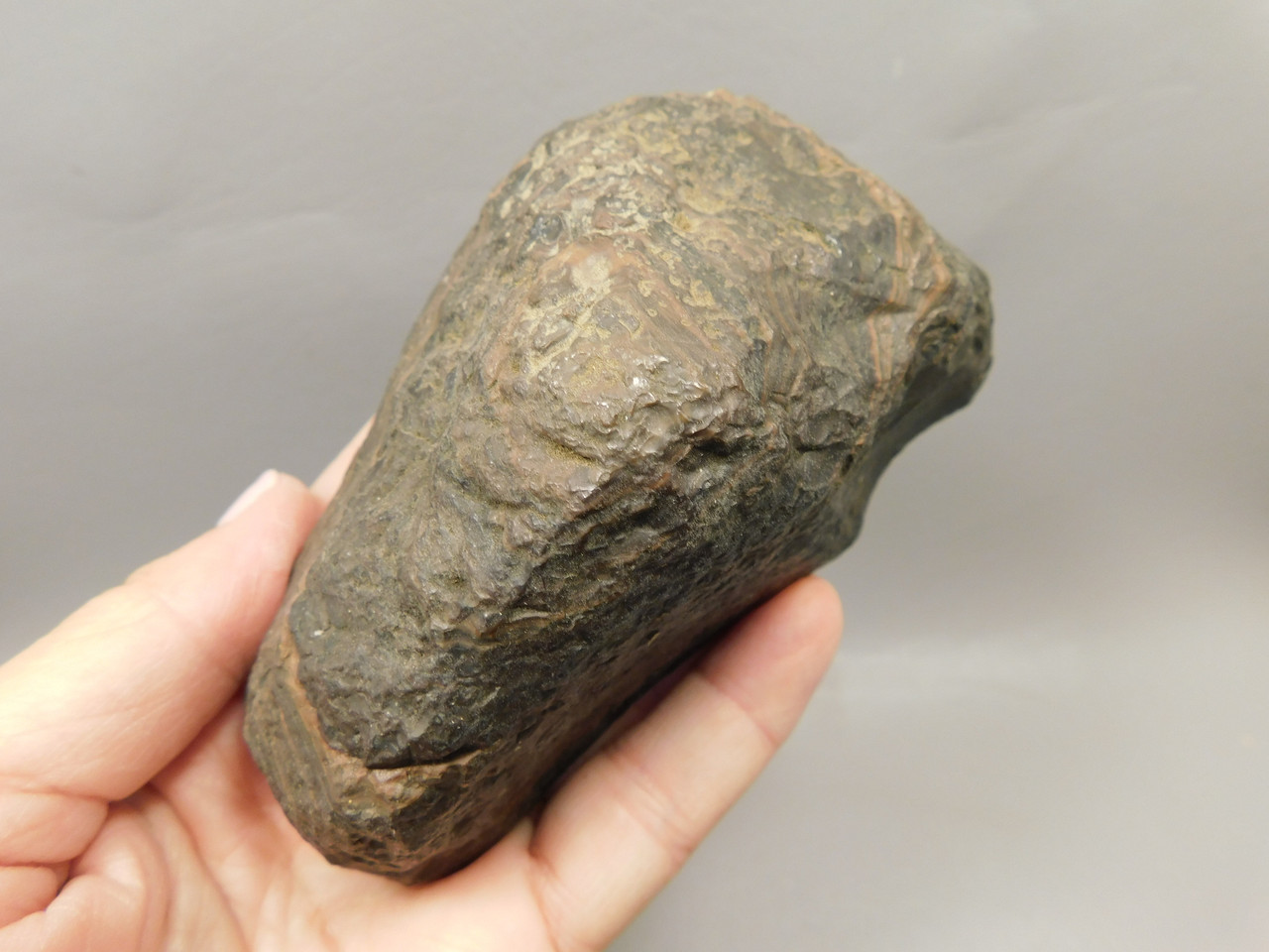 Gold Sheen Mahogany Obsidian Decorator Polished Rock Oregon #O2