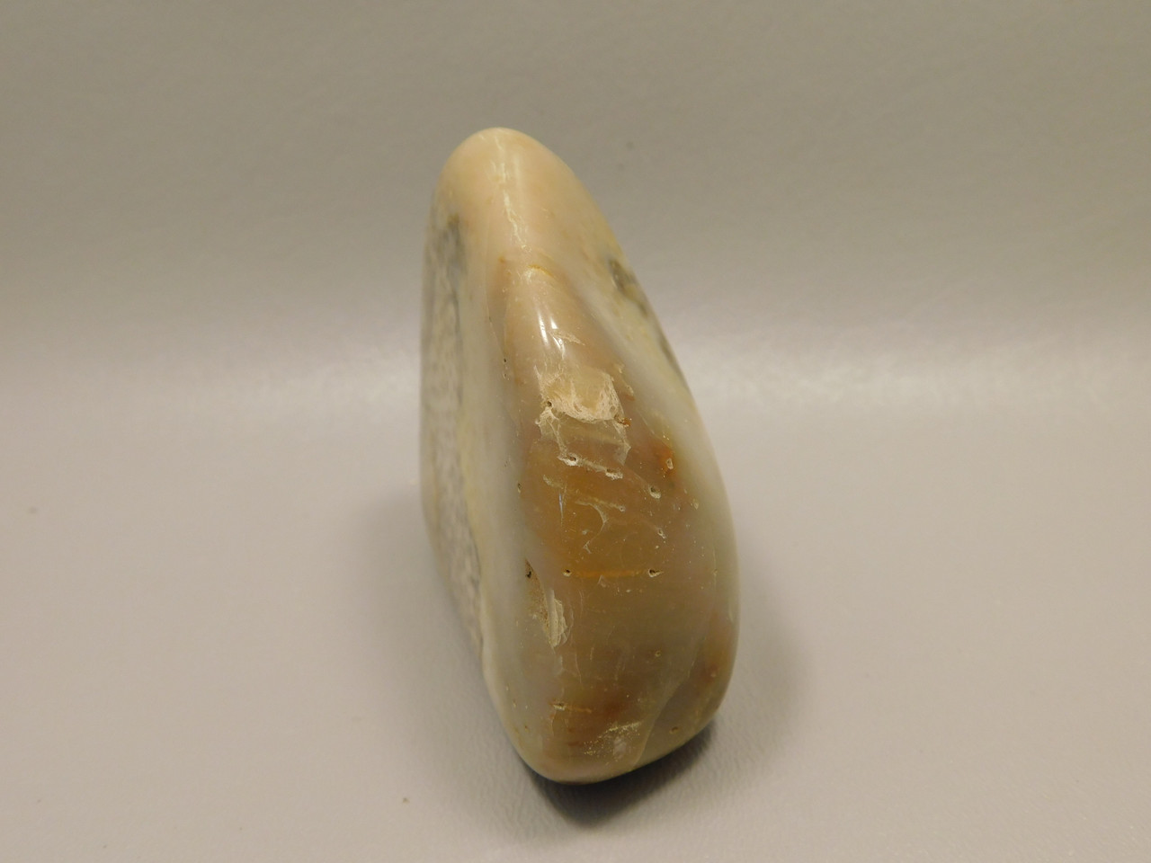 Petrified Palm Wood Large Tumbled Polished Fossil Louisiana #O12