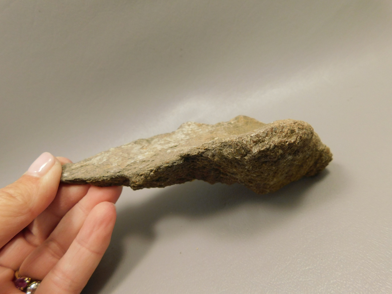 Dinosaur Bone Fossilized Polished Rock Red Stone Utah #O20