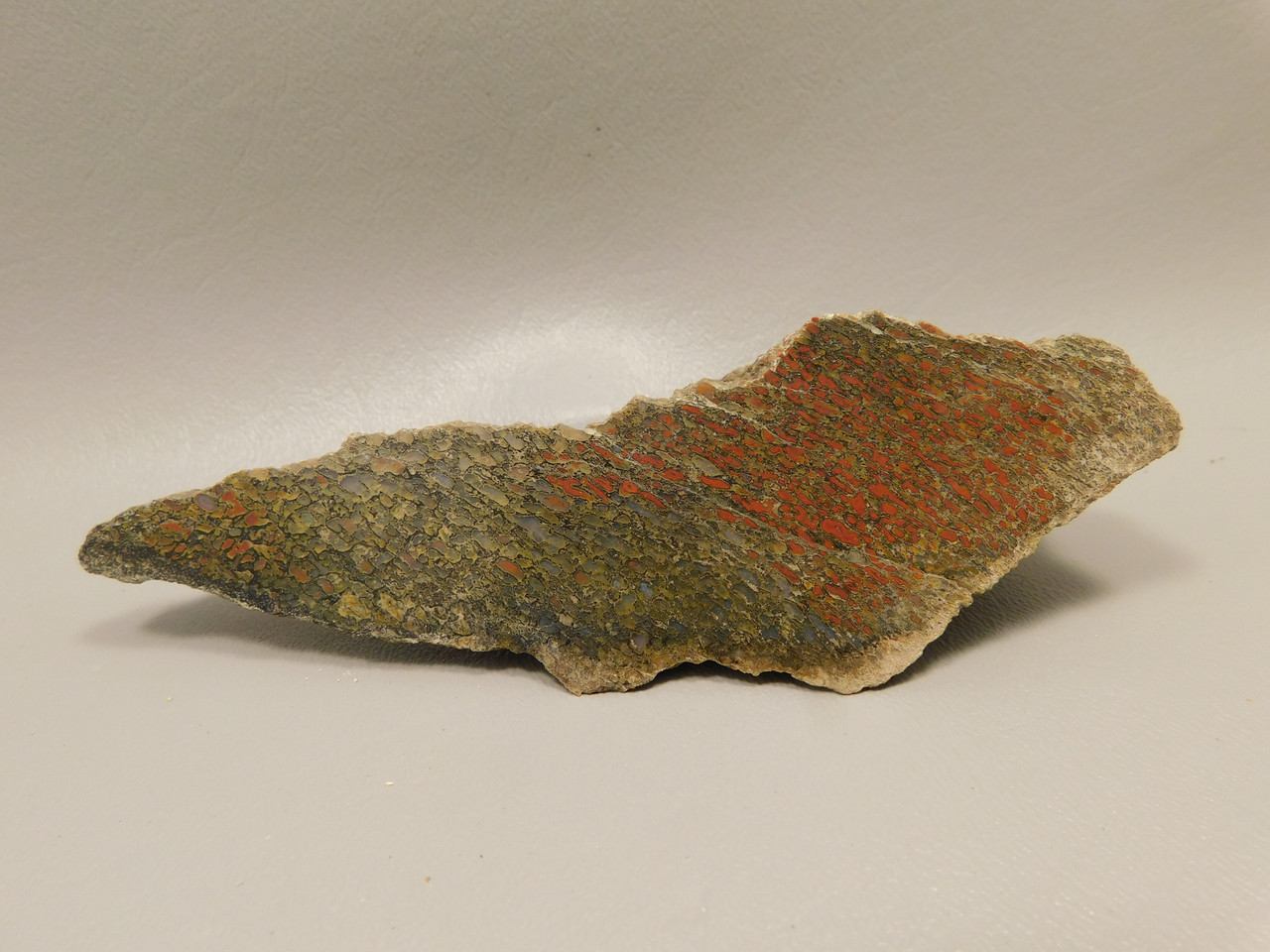 Dinosaur Bone Fossilized Polished Rock Red Stone Utah #O20