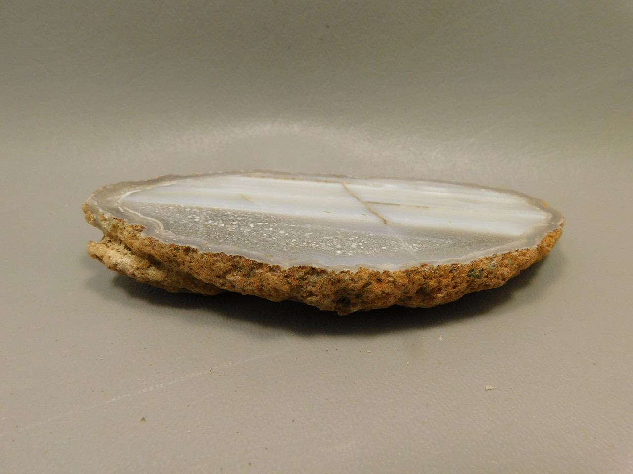 Polka Dot Agate Nodule Polished Rock Chuckwalla Springs California #O3