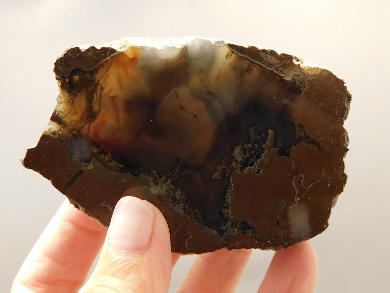 Priday Agate Thunderegg Richardson Ranch Polished Rock #O16