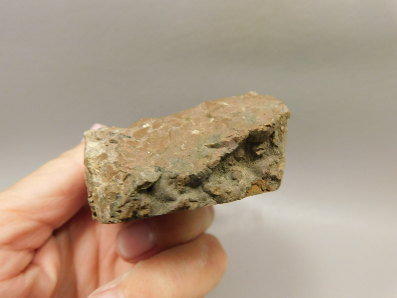 Priday Agate Thunderegg Richardson Ranch Polished Rock #O16