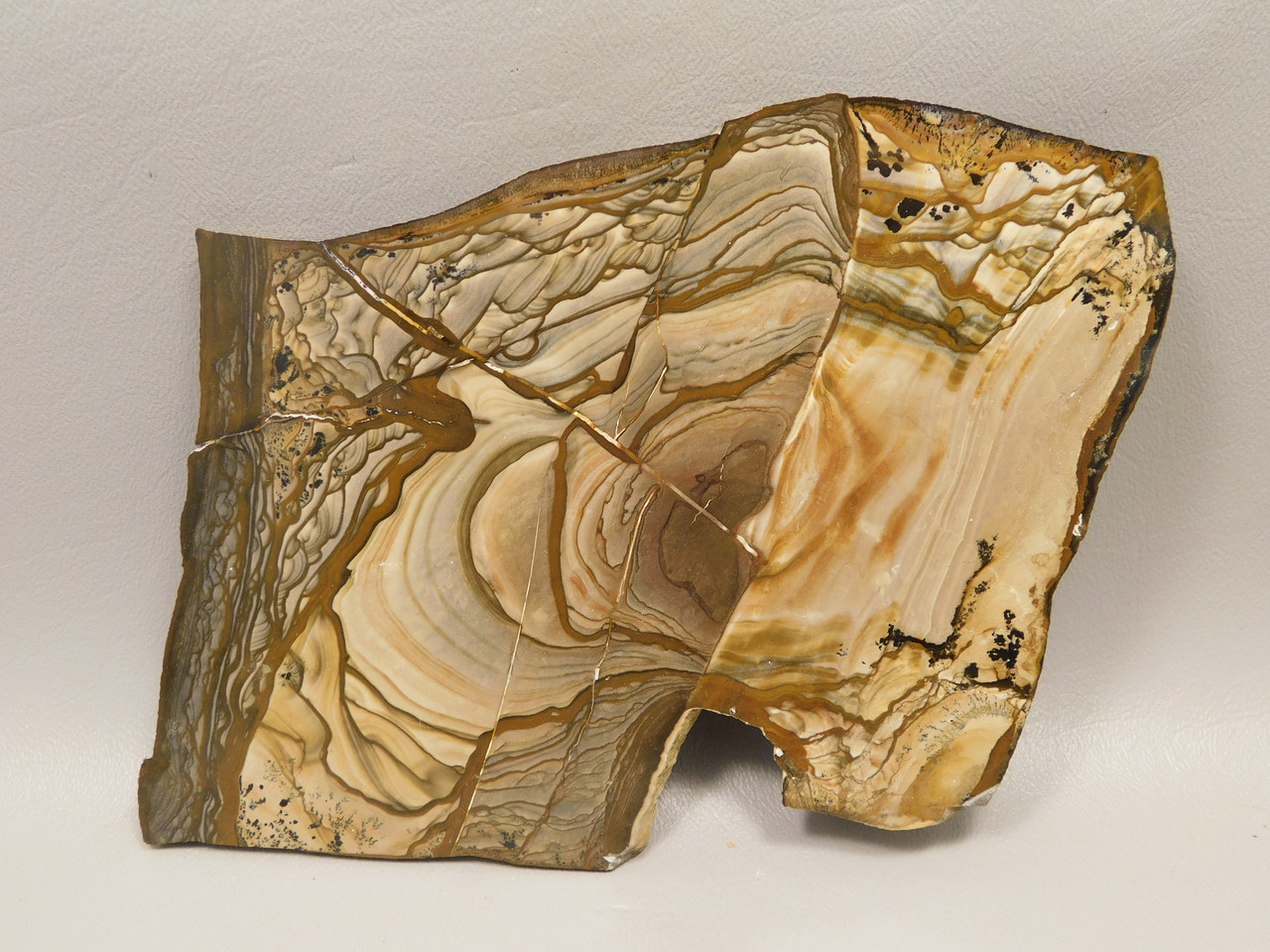 Blue Biggs Picture Jasper Polished Collector Stone Slab Oregon #O10