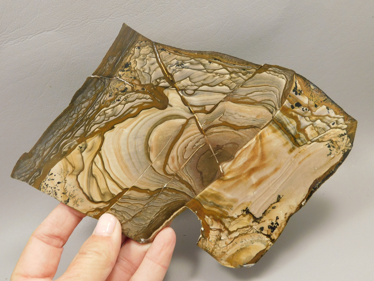 Blue Biggs Picture Jasper Polished Collector Stone Slab Oregon #O10