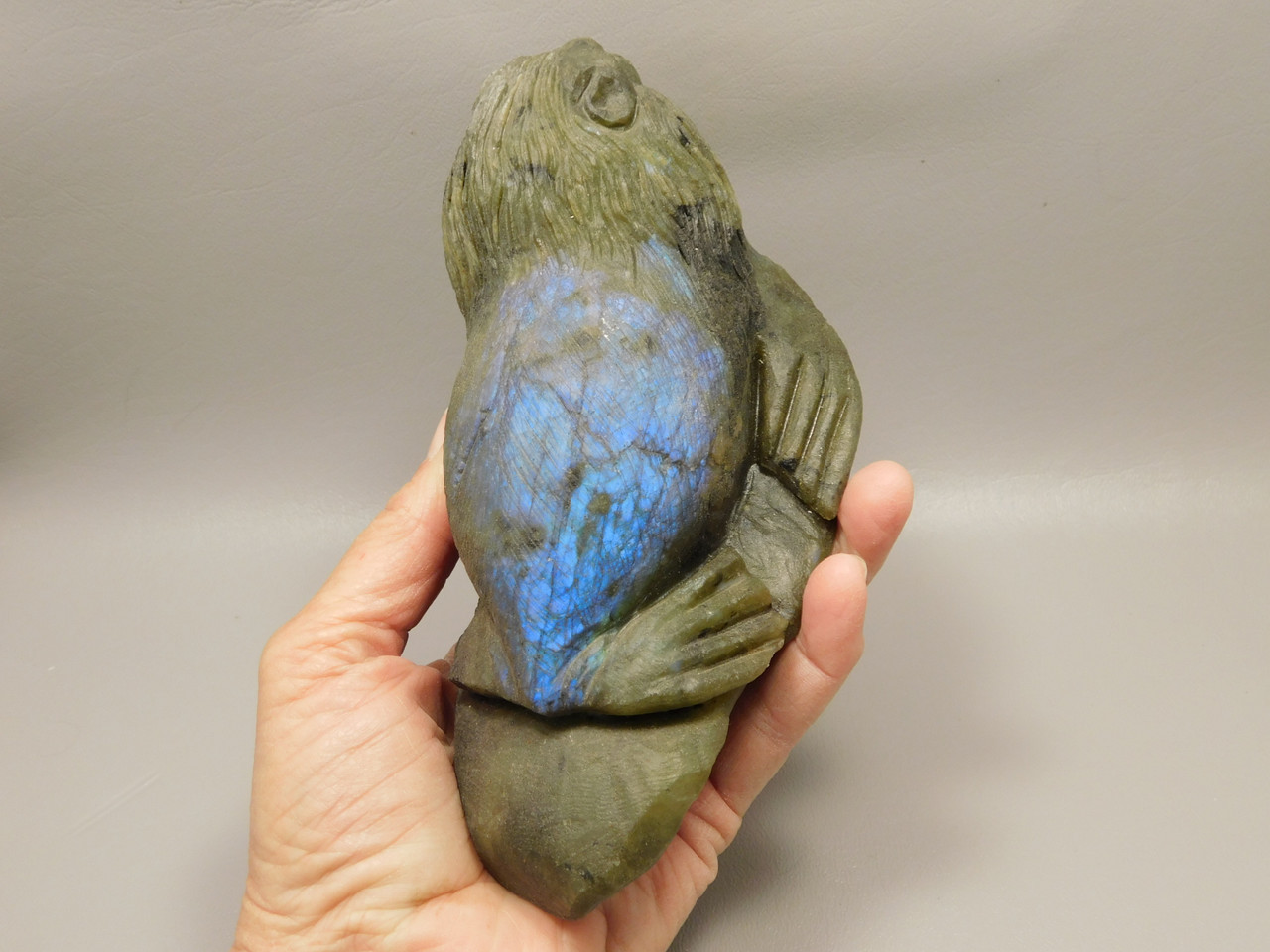 California Sea Lion Figurine Labradorite 6 inch Animal Stone Carving #O128