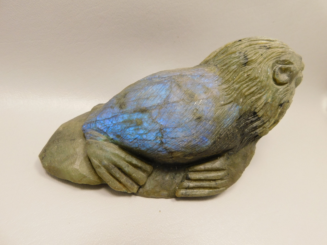 California Sea Lion Figurine Labradorite 6 inch Animal Stone Carving #O128
