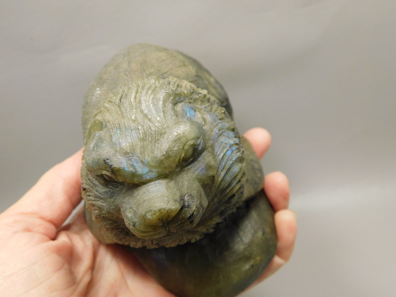 California Sea Lion Figurine Labradorite 6 inch Animal Stone Carving #O128