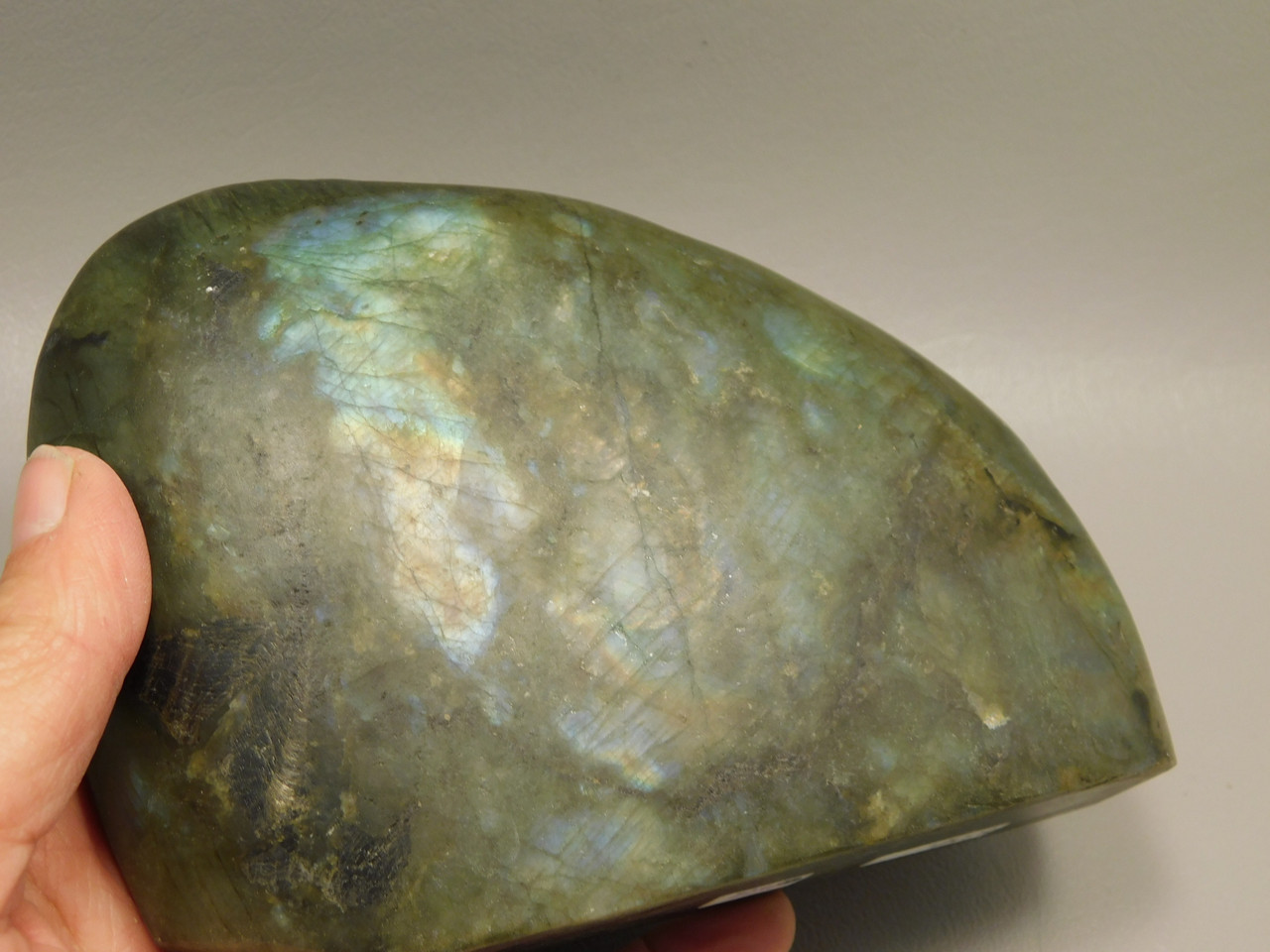 Steer Skull Western Figurine Labradorite Cowboy 5.5 inch Carving #O133
