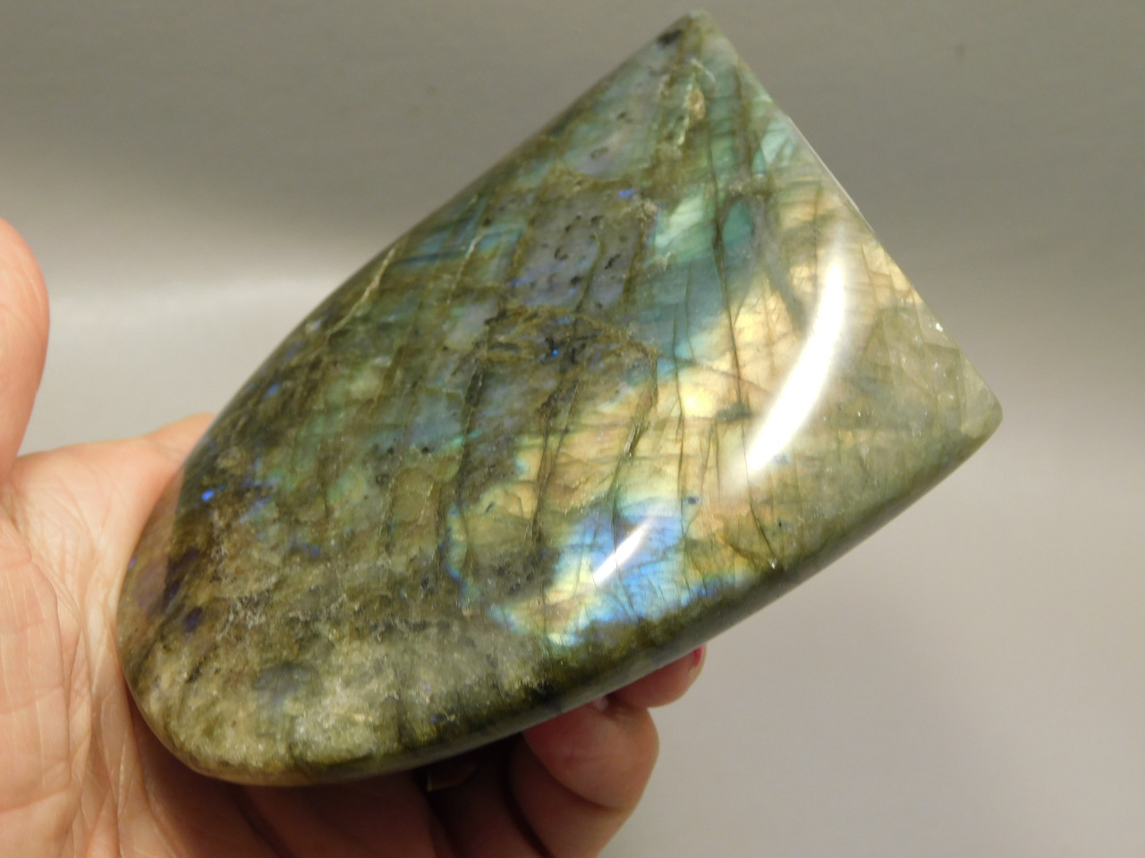 Scorpion Carving Figurine Animal Labradorite Hand Carved Rock #O233