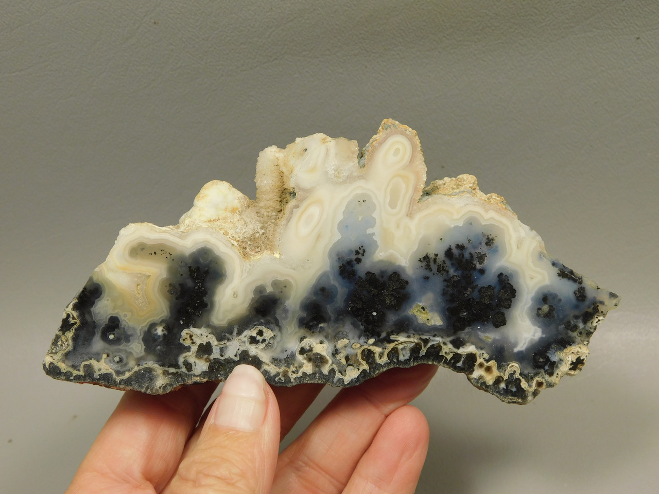 Medicine Bow Agate Dendritic Polished Rock Wyoming #O3