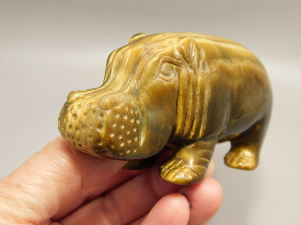 Hippopotamus Figurine Tiger-eye 4 inch Animal Gemstone Carving #O508