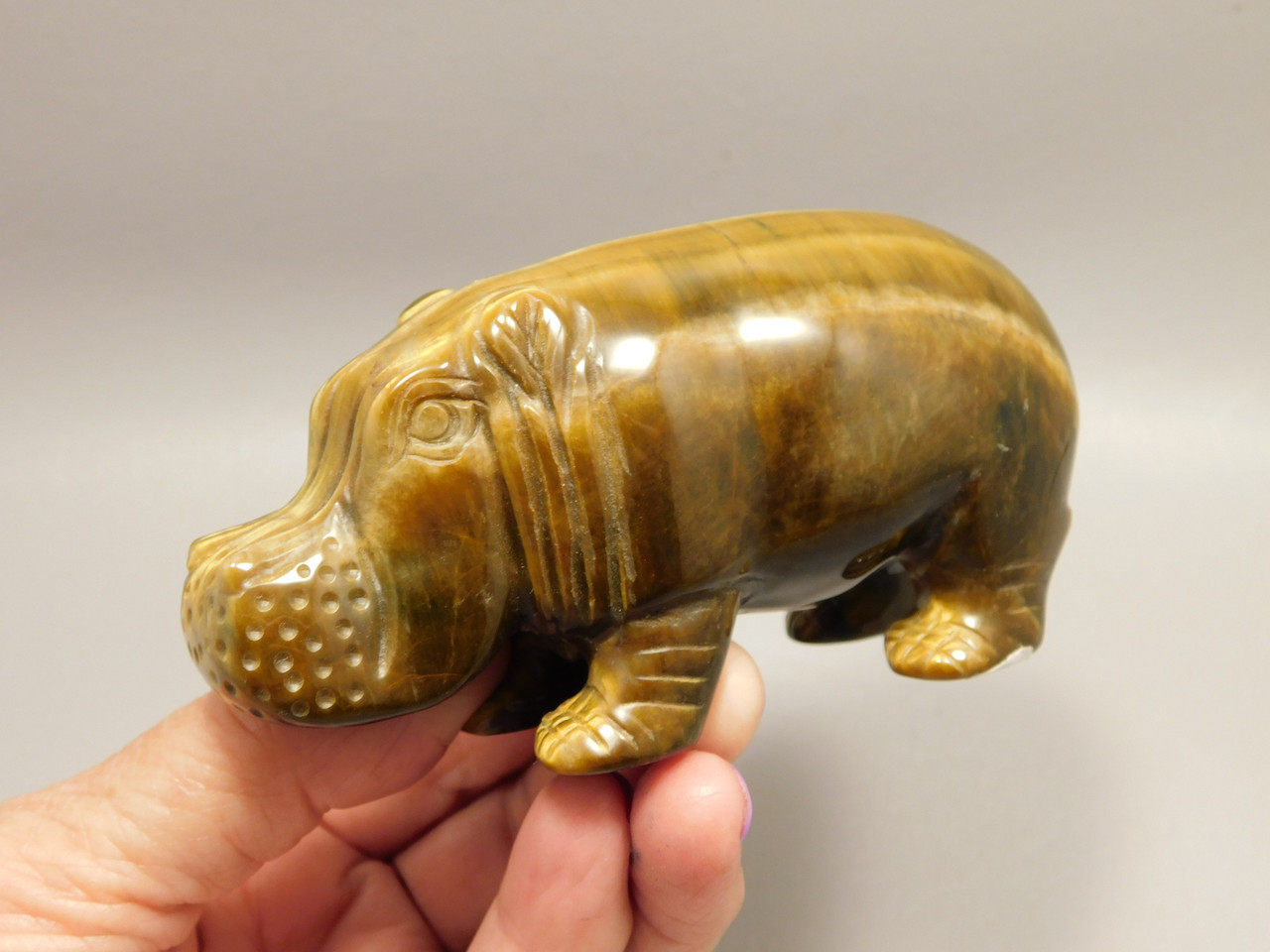 Hippopotamus Figurine Tiger-eye 4 inch Animal Gemstone Carving #O508