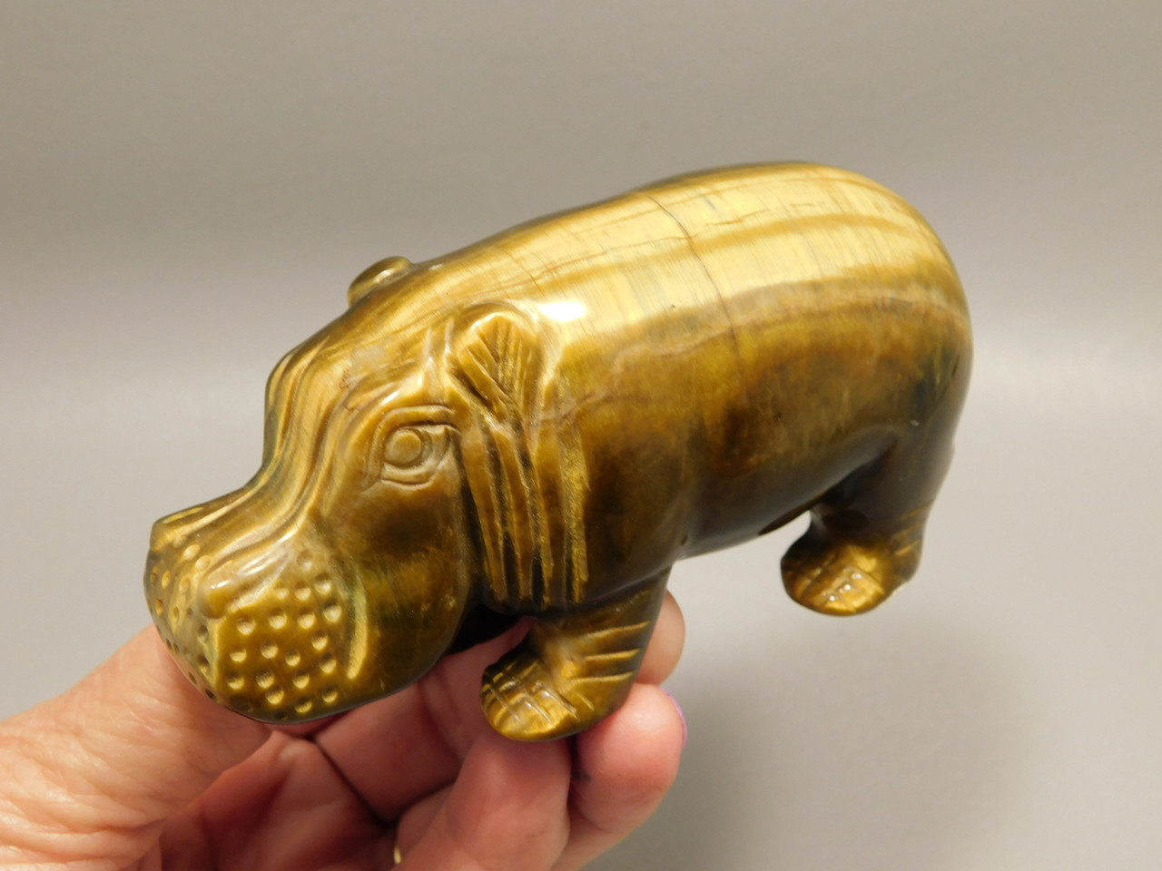 Hippopotamus Figurine Tiger-eye 4 inch Animal Gemstone Carving #O508