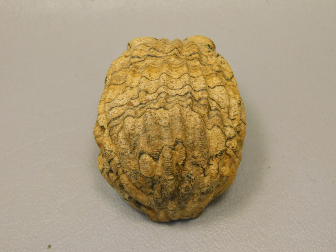 Hedgehog Figurine Stone Animal Carving Kalahari Jasper 2 inch #O1