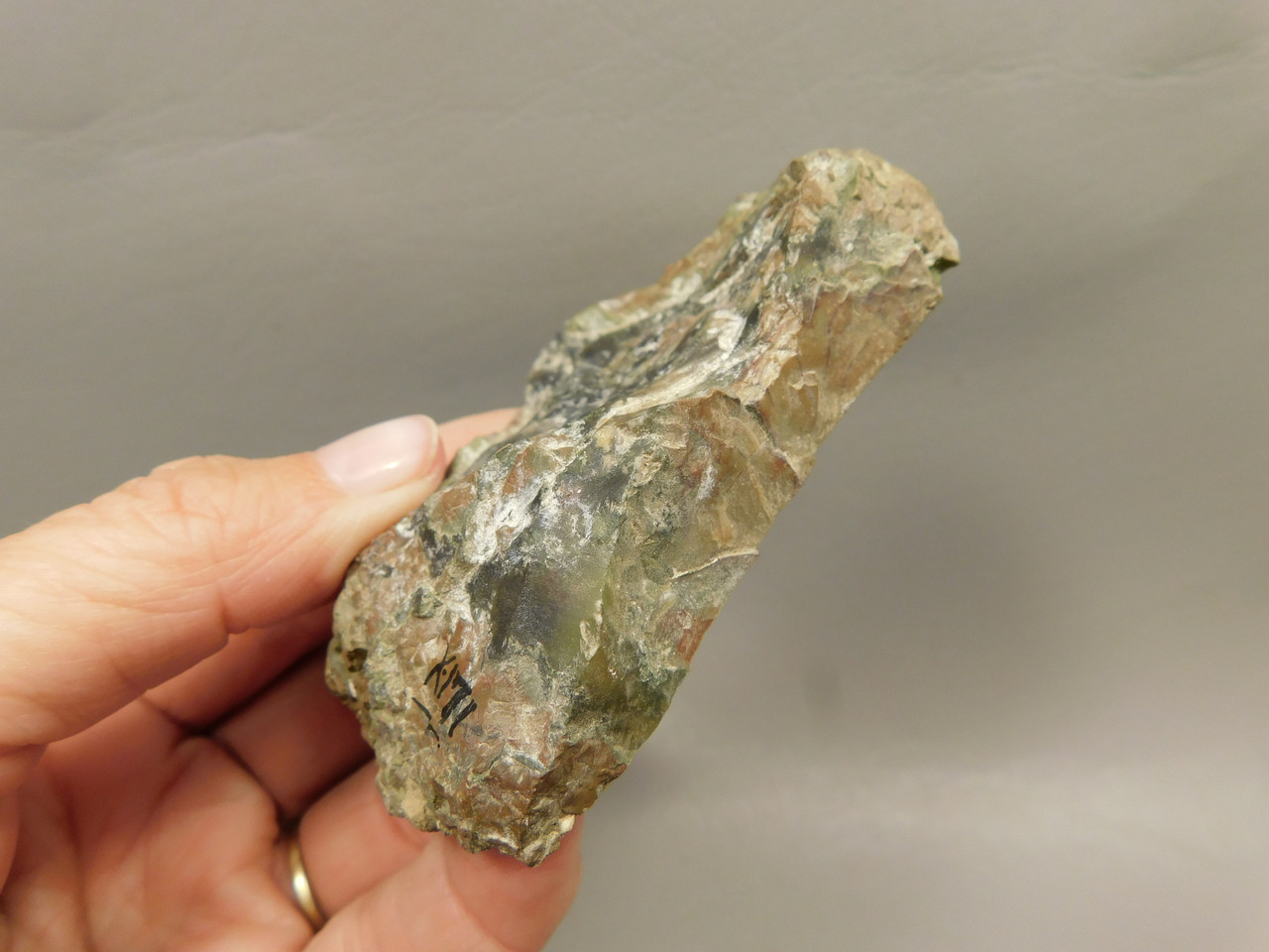 Priday Agate Thunderegg Richardson Ranch Polished Rock #O6