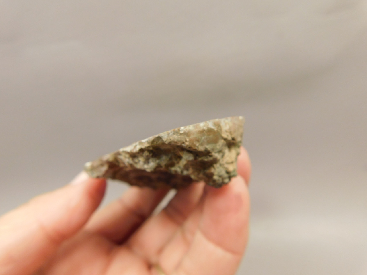 Priday Agate Thunderegg Richardson Ranch Polished Rock #O6
