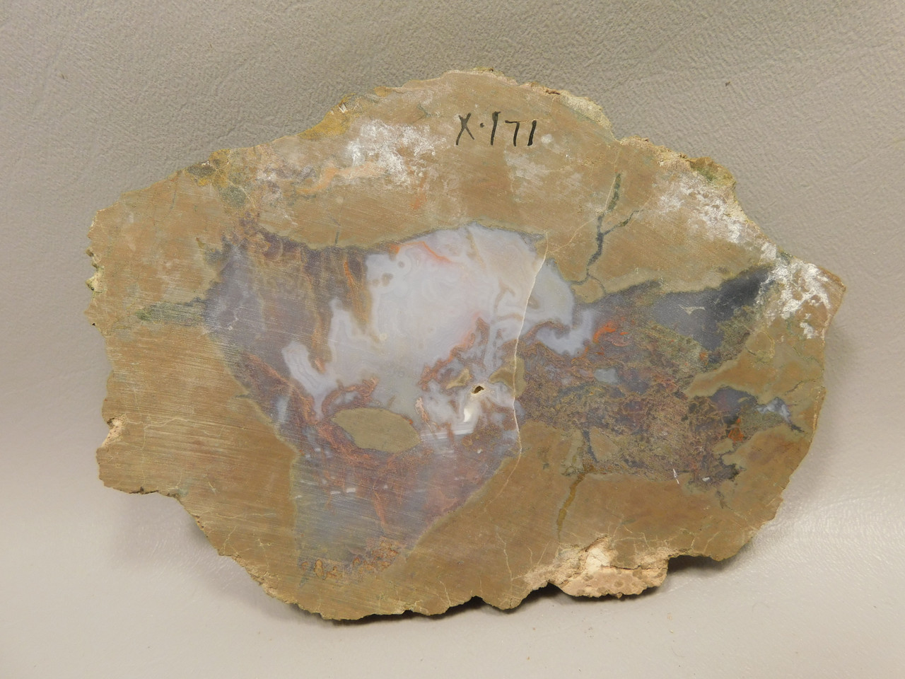 Priday Agate Thunderegg Richardson Ranch Polished Stone Slab #O12