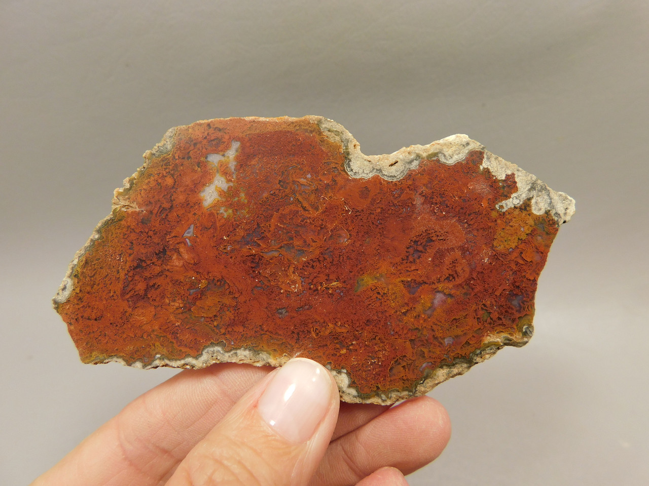 Rio Grande Agate Stone Slab Polished Rock Red Plume Texas #O10