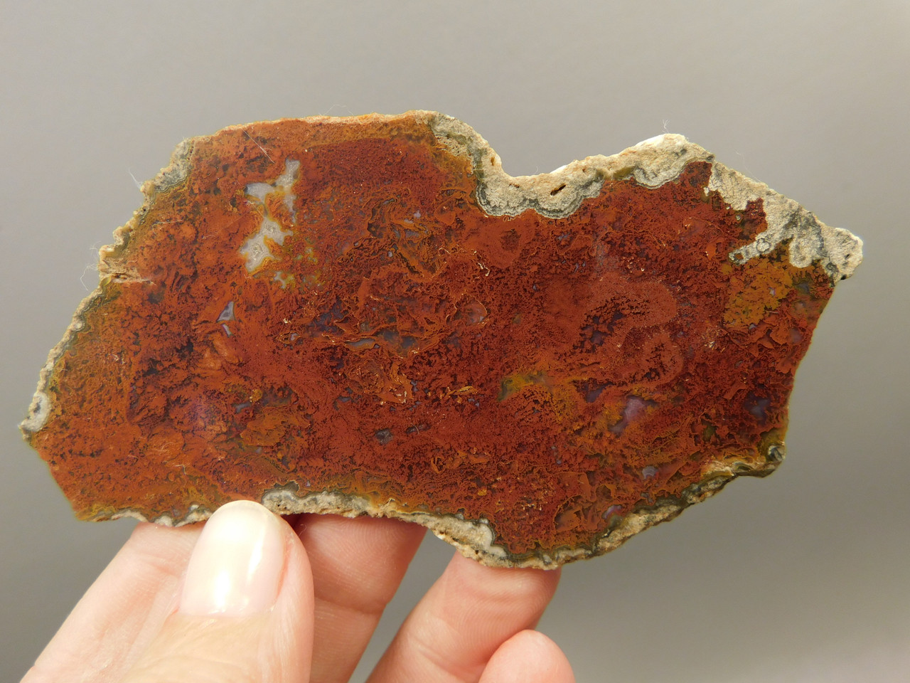 Rio Grande Agate Stone Slab Polished Rock Red Plume Texas #O10