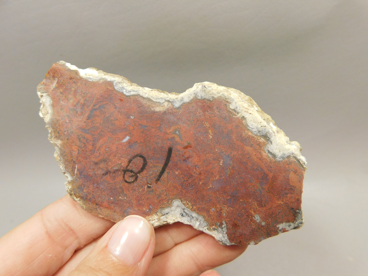 Rio Grande Agate Stone Slab Polished Rock Red Plume Texas #O10