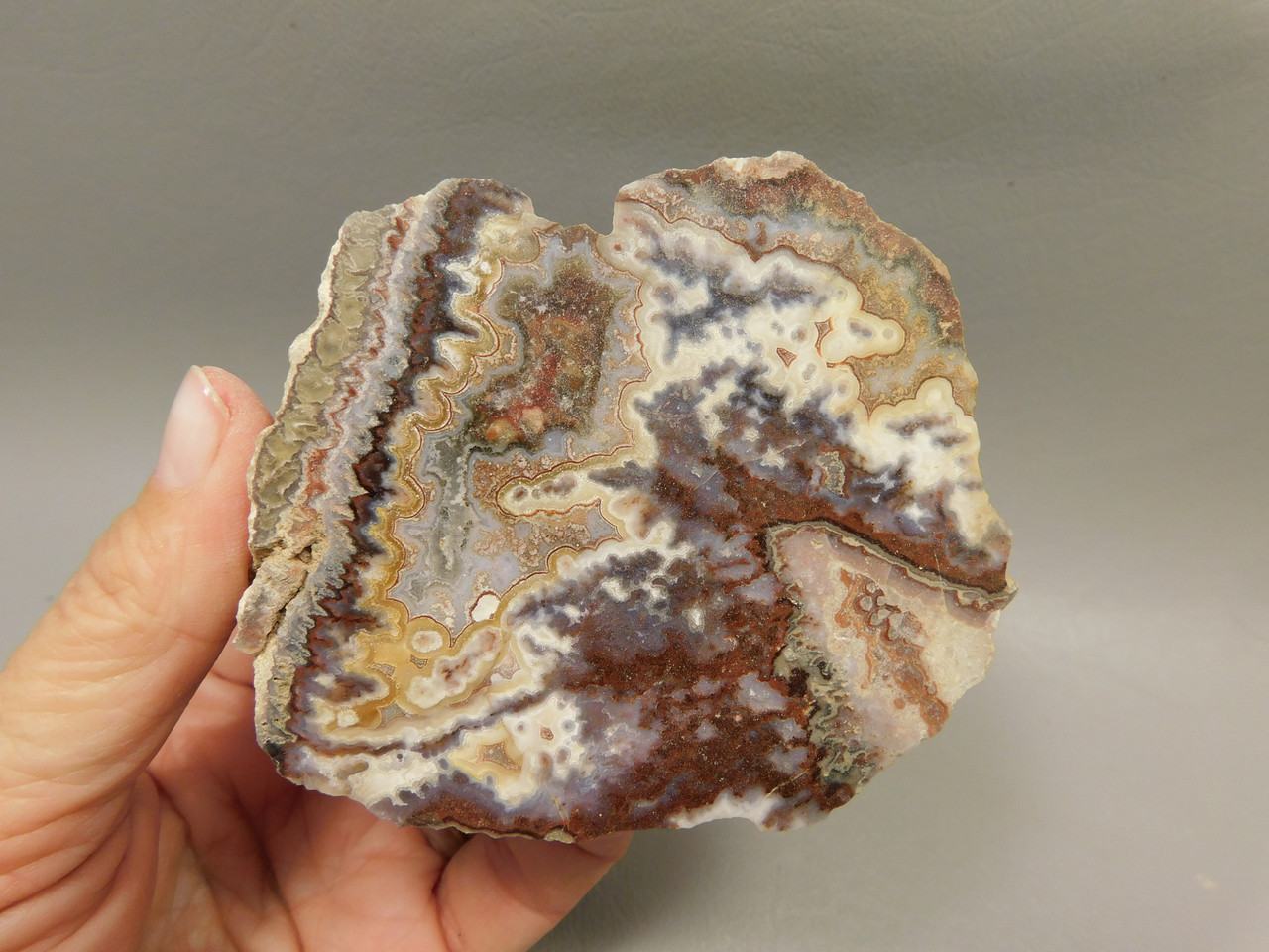 Red Crazy Lace Agate Polished Rock Decorator Stone Mexico #O3