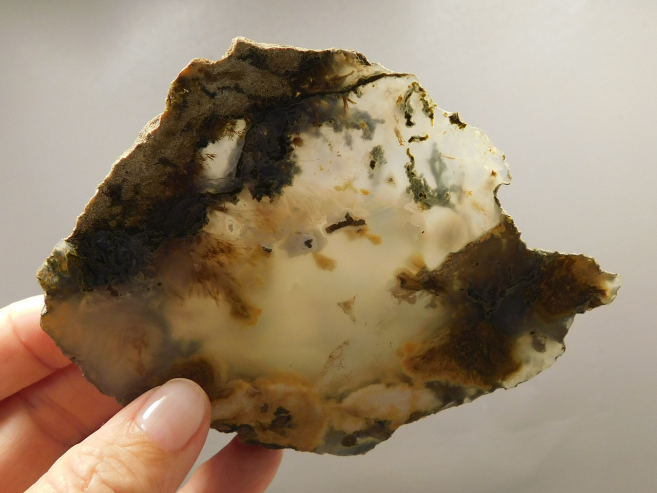 Owls Hole Agate Polished Rock Sagenite Death Valley California #O1