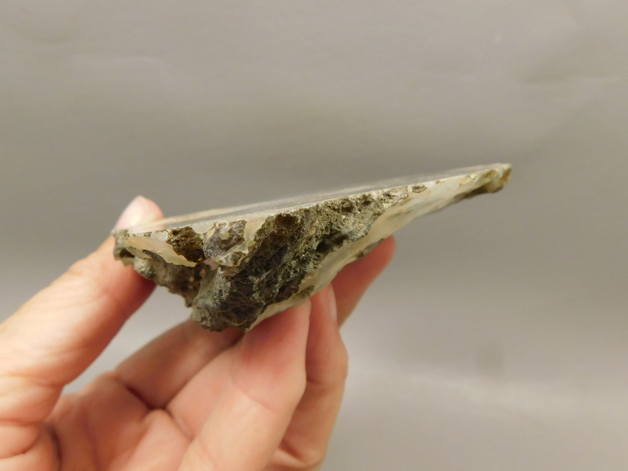 Red Crazy Lace Agate Polished Rock Decorator Stone Mexico #O3