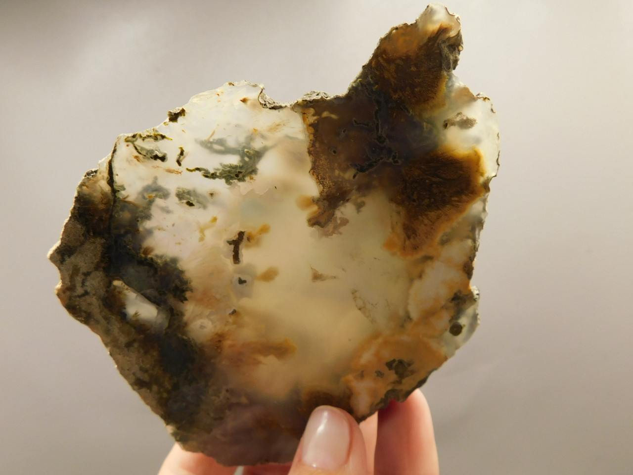 Owls Hole Agate Polished Rock Sagenite Death Valley California #O1