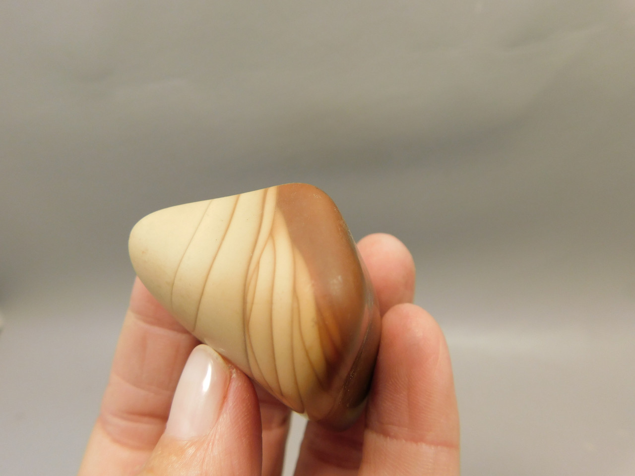 Bruneau Jasper 2 Tumbled Matte Finish Rock Oregon #O100